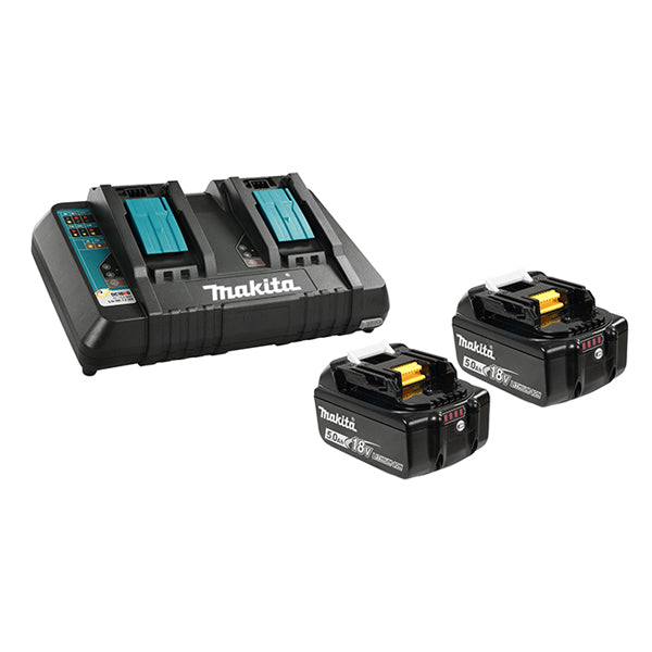 ENSEMBLE CHARGEUR DOUBLE + 2 BATTERIE 5 AMPÈRES - Y-00359